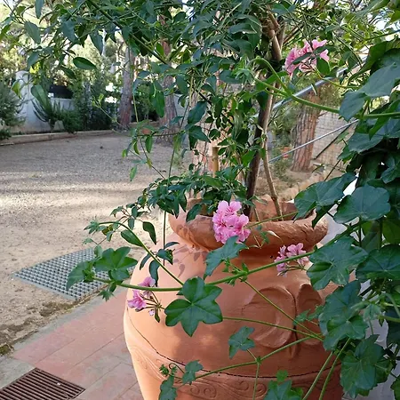 Giulia 3 Levels Villa