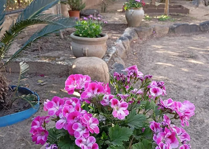 Giulia 3 Levels Санта-Маргерита-ди-Пула