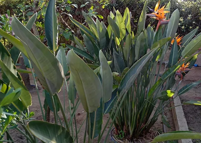 Giulia 3 Levels * Санта-Маргерита-ди-Пула